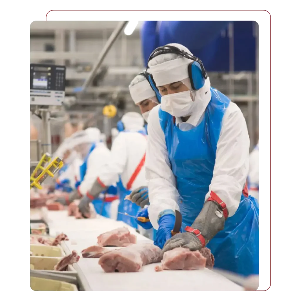 Gestión del talento en Incarlopsa