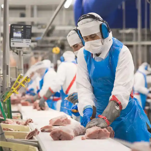 Gestión del talento en Incarlopsa