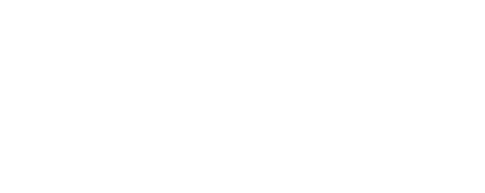 BL logo